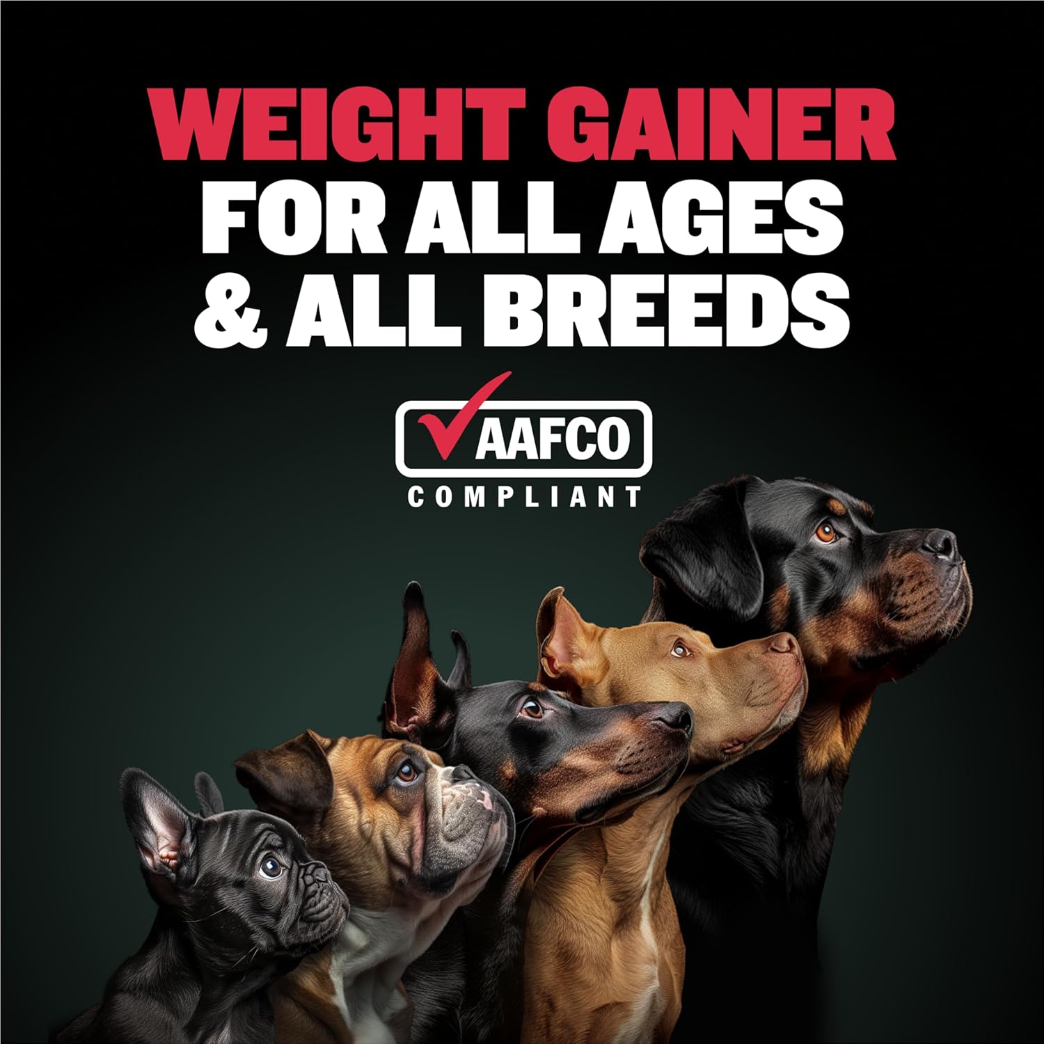 Bully Max Weight Gainer Liquid for Puppi... 3 Bully Max Weight Gainer Liquid for Puppi... - Image 3