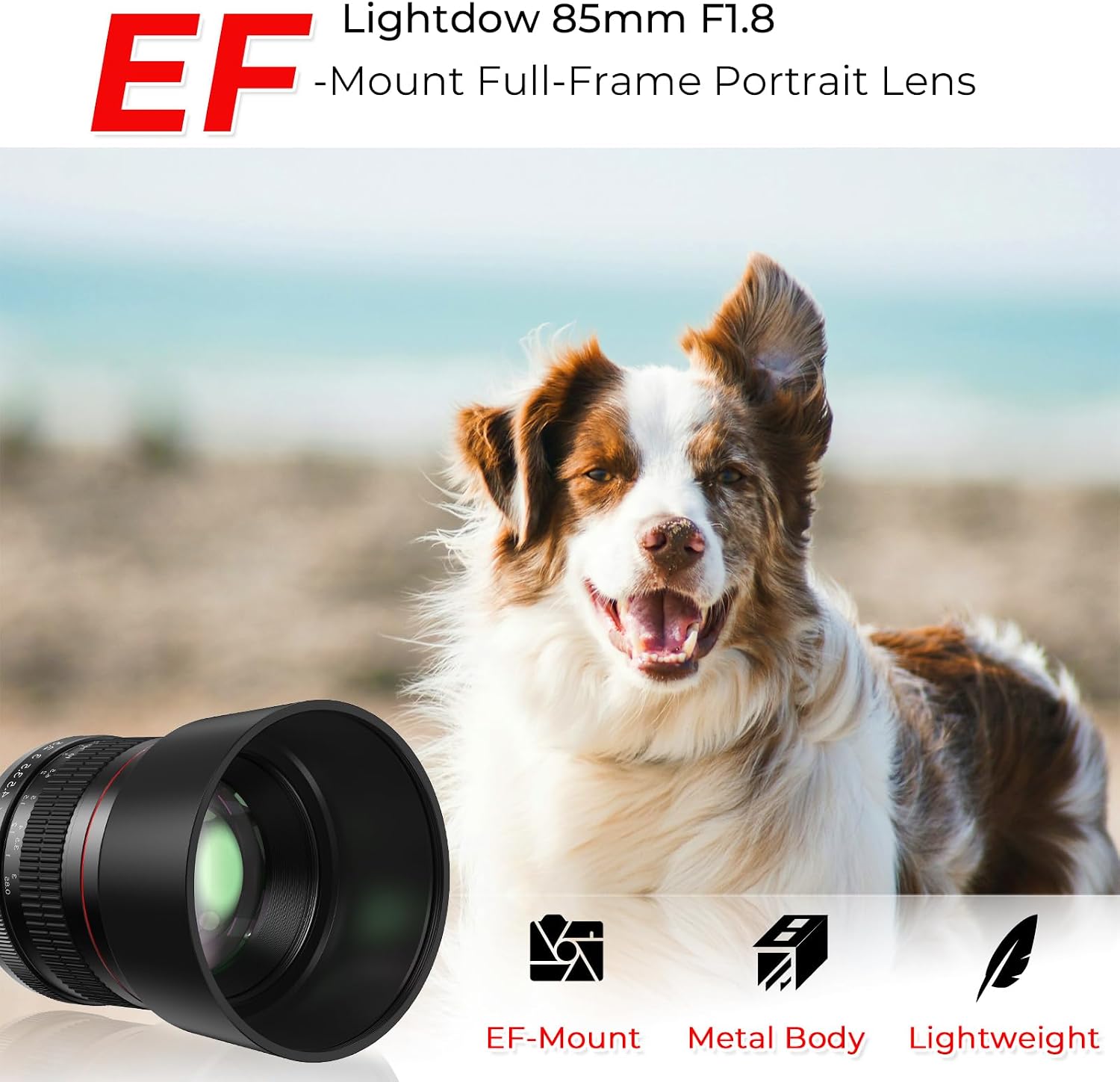 EF 85mm f1.8 Portrait Lens - MF for Cano... 3 EF 85mm f1.8 Portrait Lens - MF for Cano... - Image 3