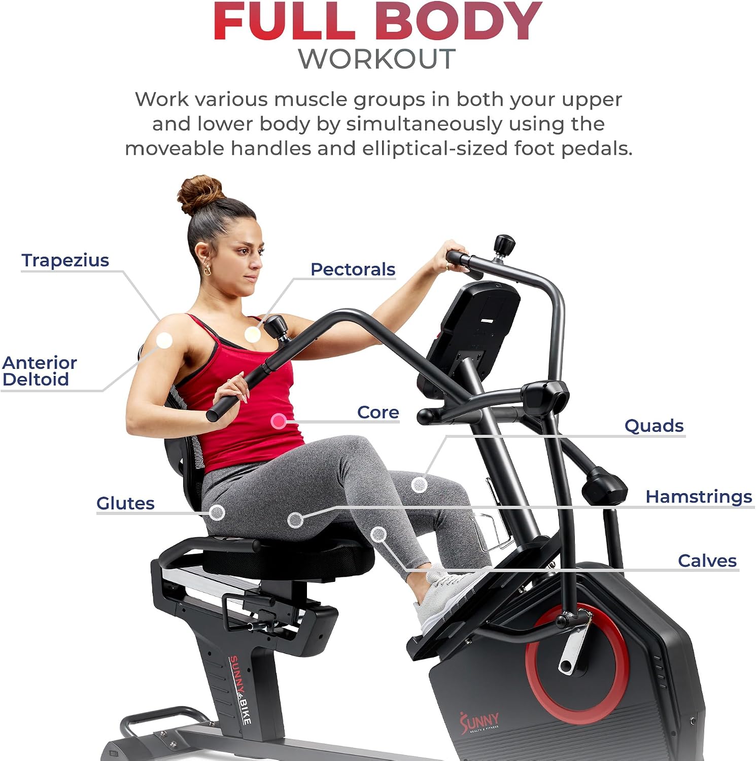Sunny Health & Fitness Elite Recumbent C... 5 Sunny Health & Fitness Elite Recumbent C... - Image 5