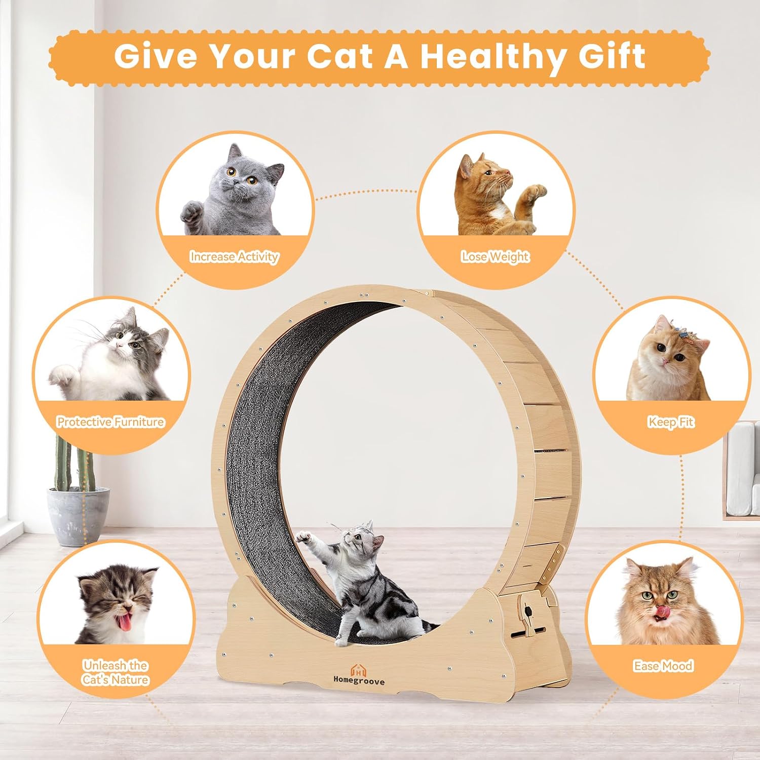 Homegroove Cat Exercise Wheel for Indoor... 6 Homegroove Cat Exercise Wheel for Indoor... - Image 6