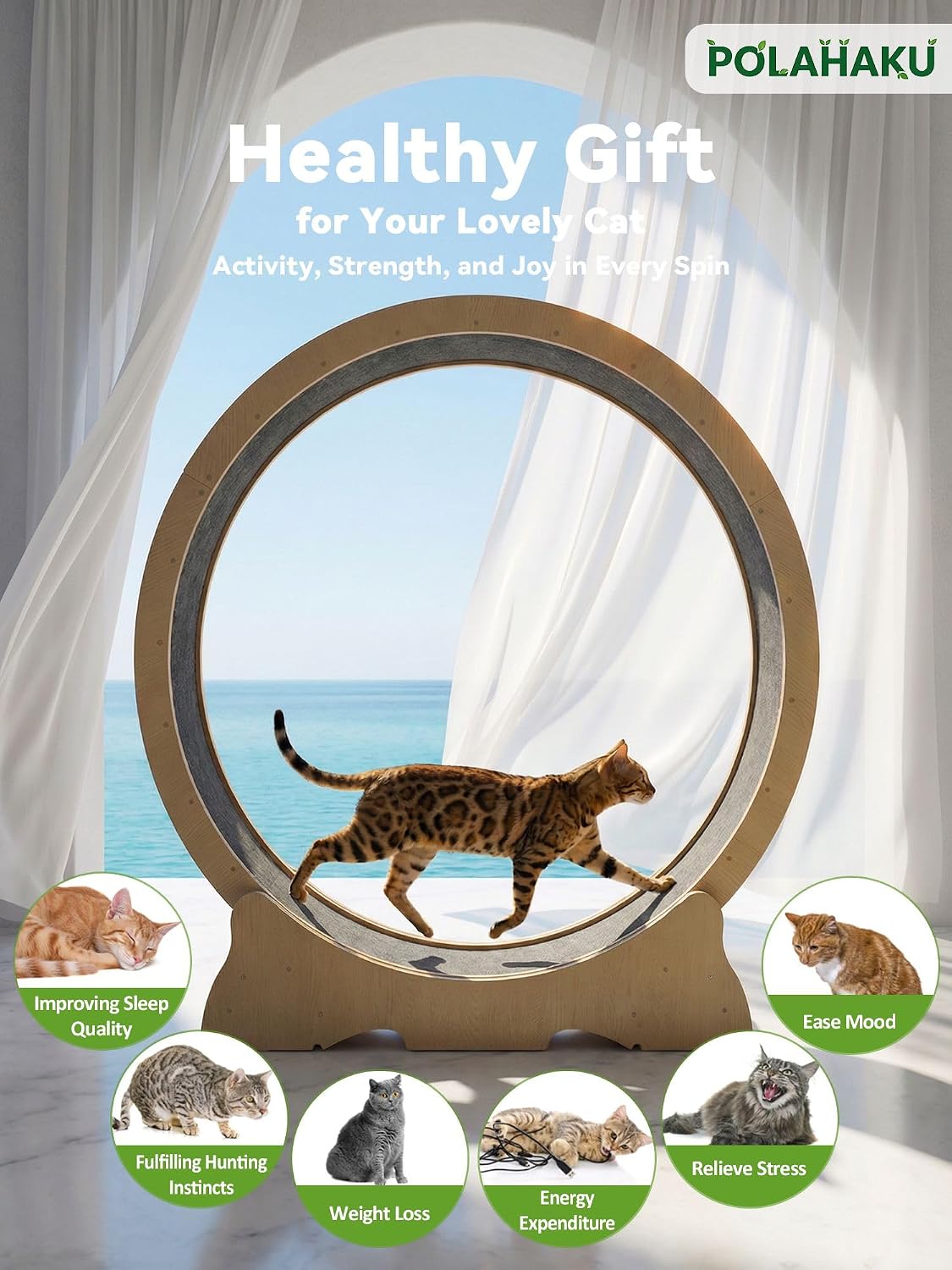 Cat Wheel for Indoor Cats, 47 Inch Diame... 4 Cat Wheel for Indoor Cats, 47 Inch Diame... - Image 4
