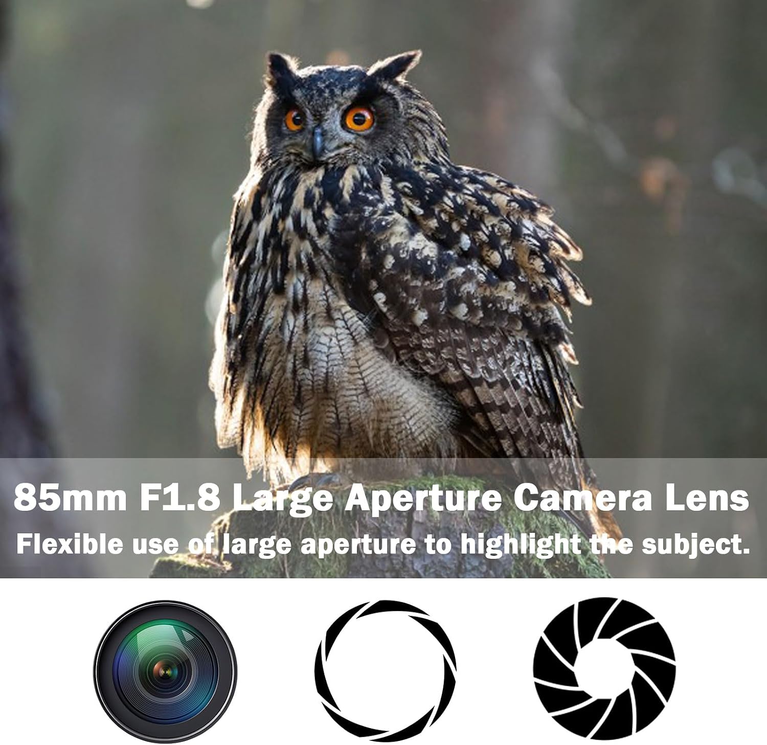 85mm f1.8 Portrait Lens EF Lens for Cano... 5 85mm f1.8 Portrait Lens EF Lens for Cano... - Image 5