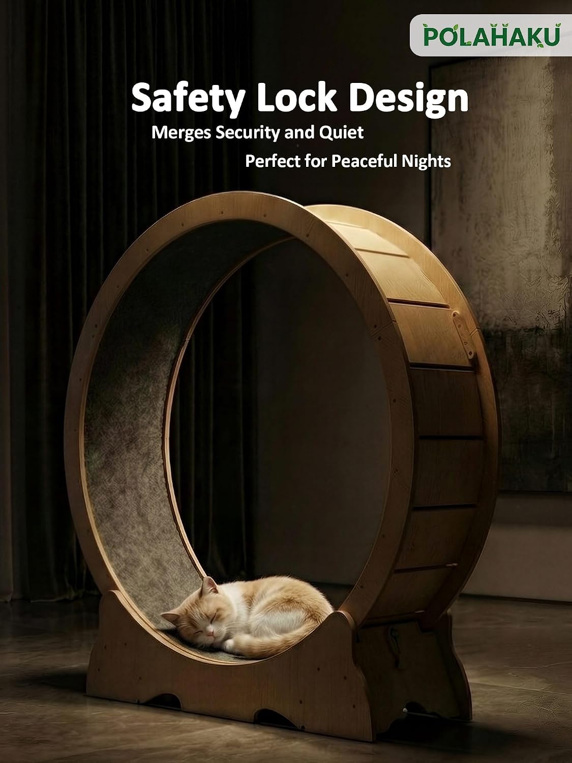 Cat Wheel for Indoor Cats, 47 Inch Diame... 2 Cat Wheel for Indoor Cats, 47 Inch Diame... - Image 2