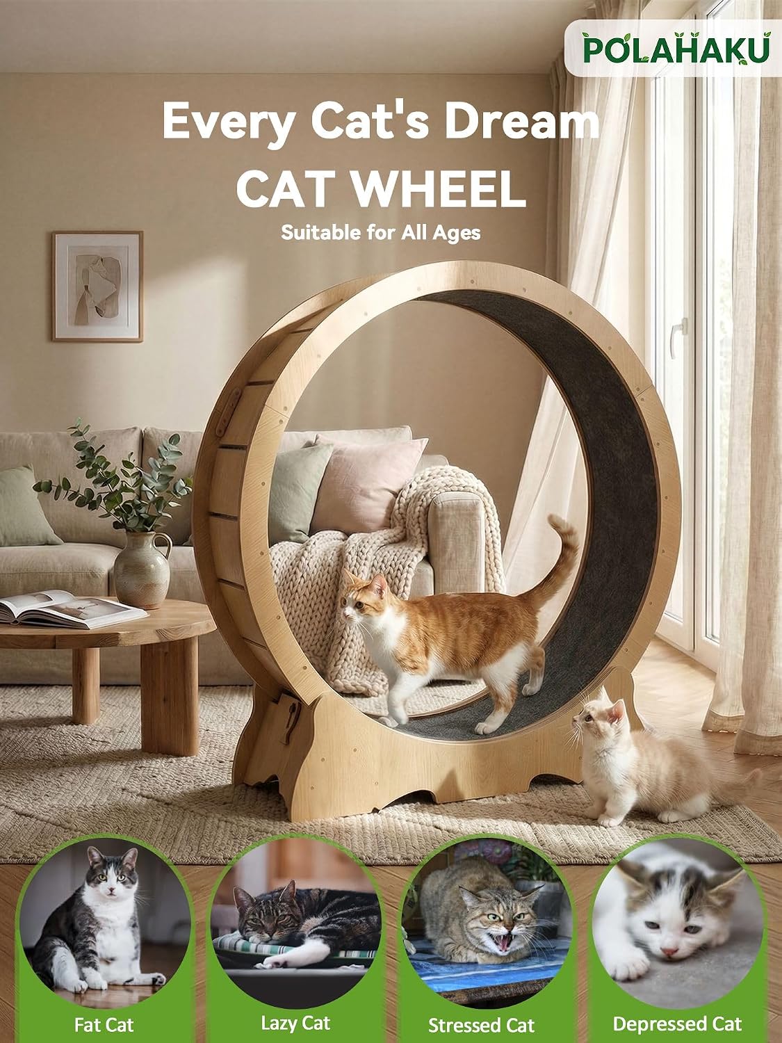 Cat Wheel for Indoor Cats, 47 Inch Diame... 3 Cat Wheel for Indoor Cats, 47 Inch Diame... - Image 3