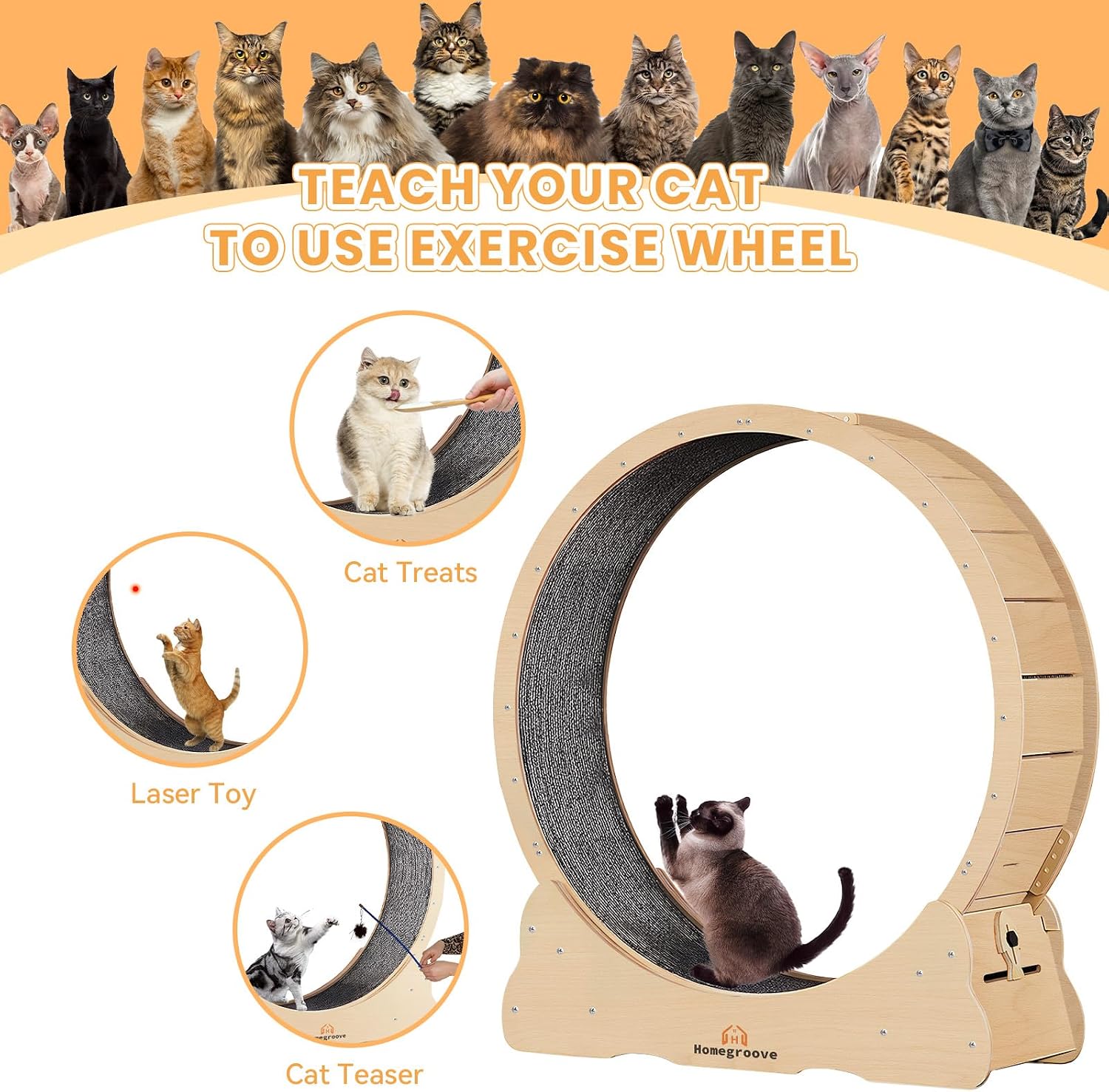 Homegroove Cat Exercise Wheel for Indoor... 5 Homegroove Cat Exercise Wheel for Indoor... - Image 5