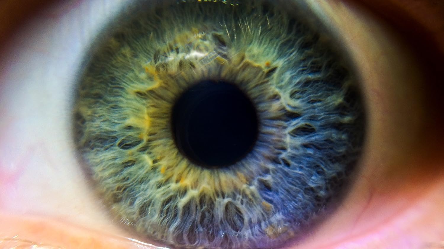 10x High Definition 2 Element Close-Up (... 2 10x High Definition 2 Element Close-Up (... - Image 2