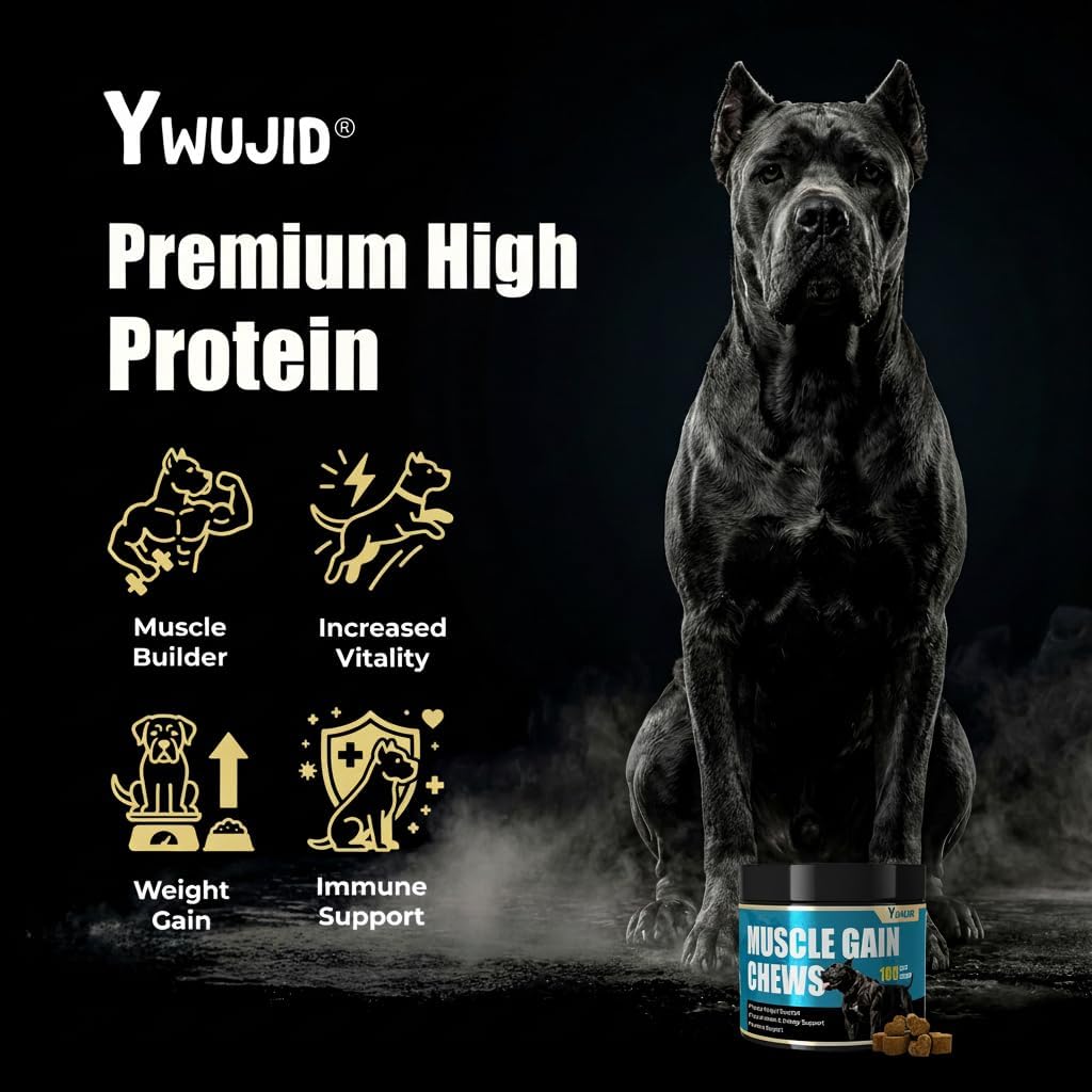 Muscle Gain Chews Dog Weight Gainer Supp... 2 Muscle Gain Chews Dog Weight Gainer Supp... - Image 2