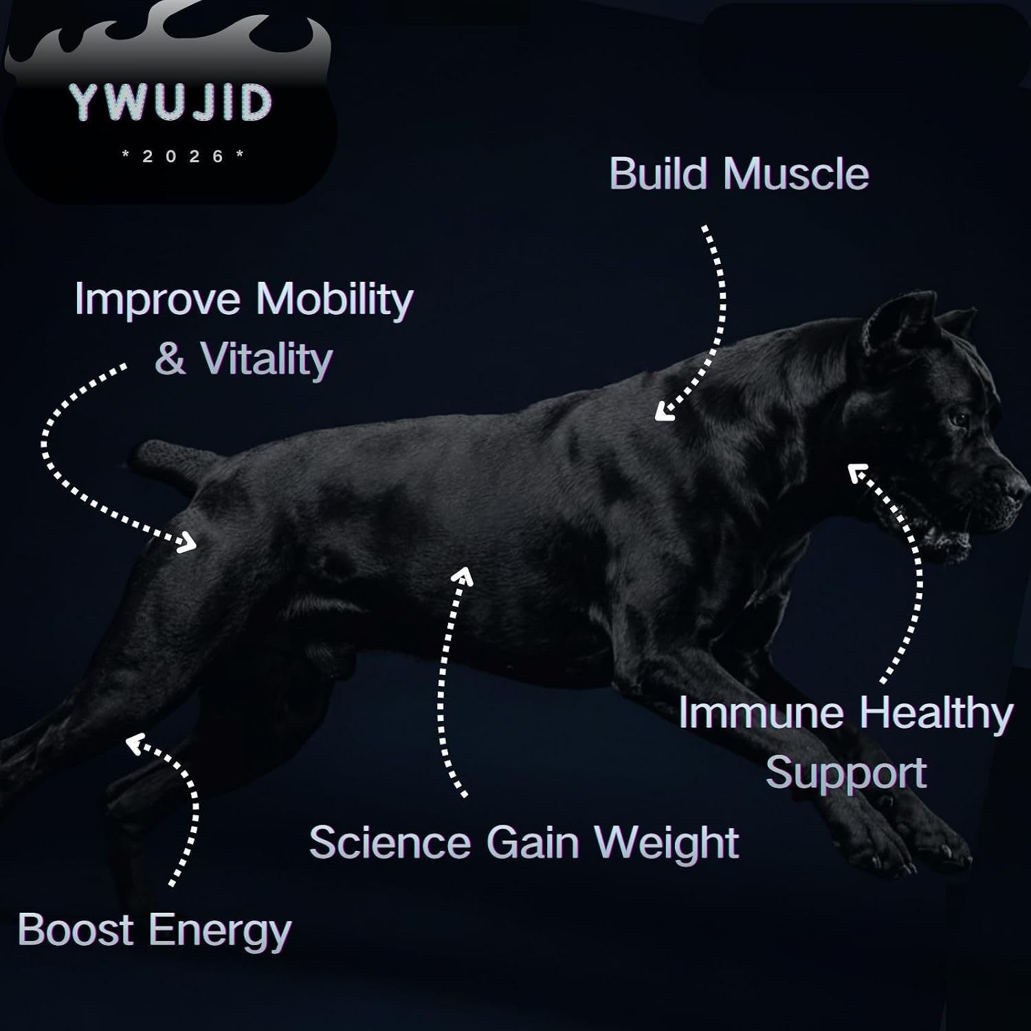 Muscle Gain Chews Dog Weight Gainer Supp... 4 Muscle Gain Chews Dog Weight Gainer Supp... - Image 4