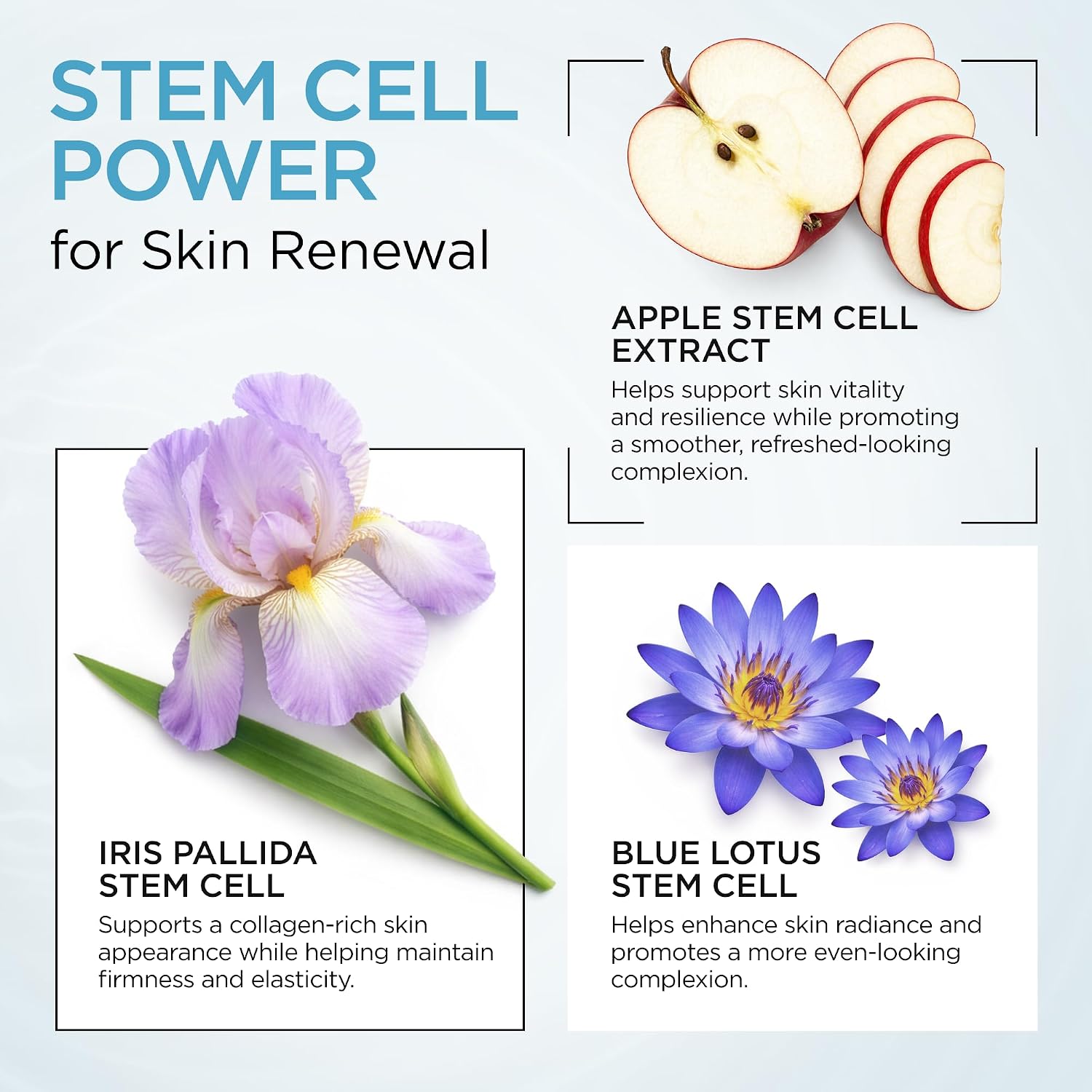 Collagen Face Cream Night Moisturizer St... 8 Collagen Face Cream Night Moisturizer St... - Image 8