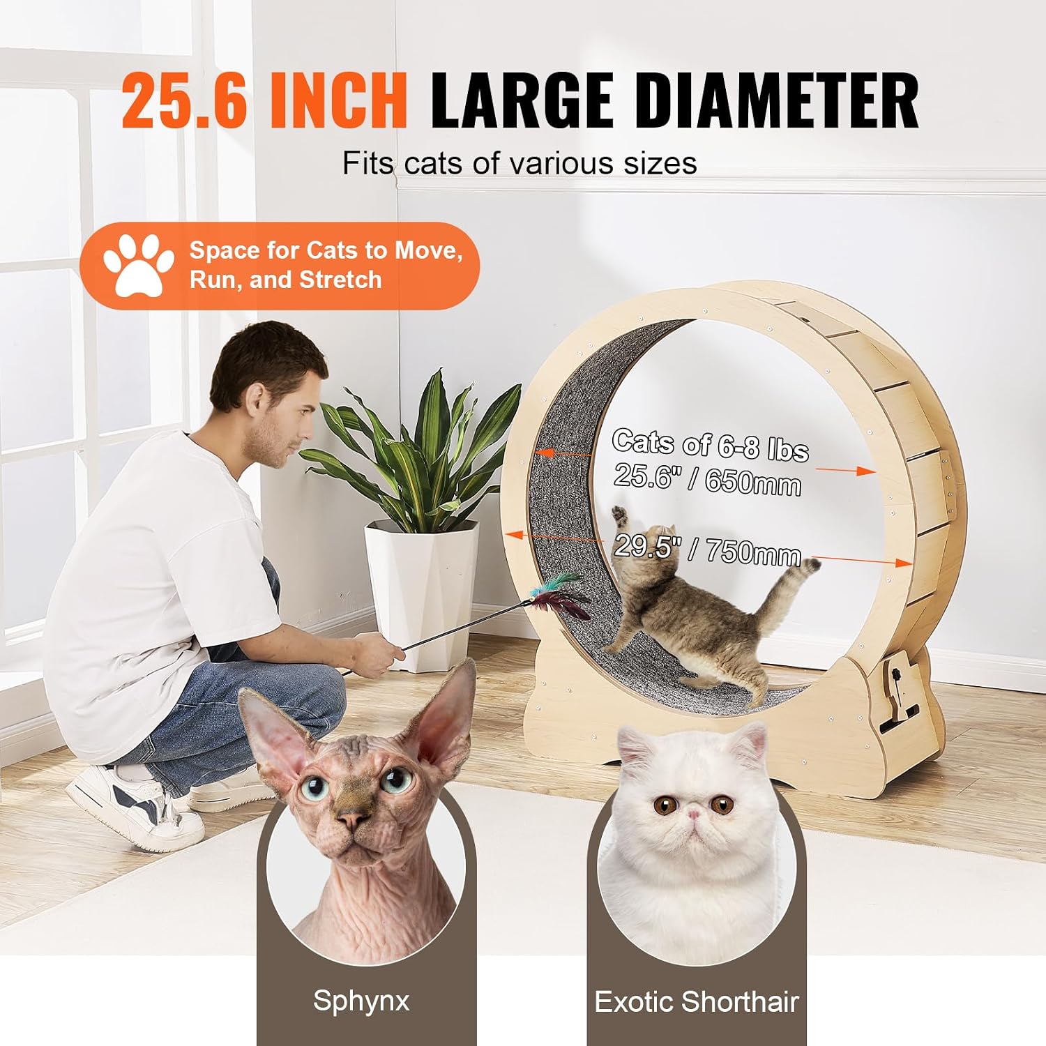 VEVOR Cat Exercise Wheel 29.5" Large Cat... 4 VEVOR Cat Exercise Wheel 29.5" Large Cat... - Image 4