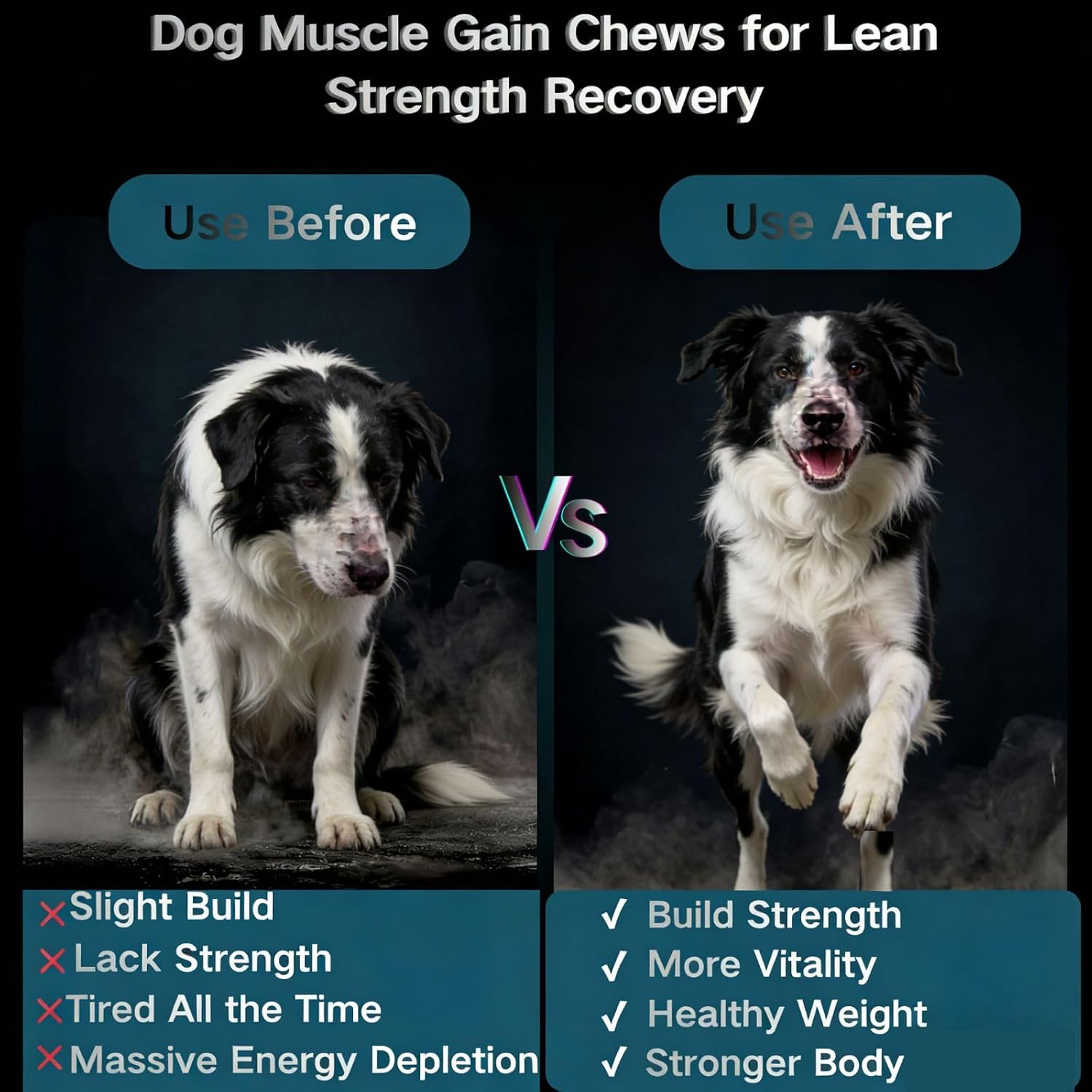 Muscle Gain Chews Dog Weight Gainer Supp... 6 Muscle Gain Chews Dog Weight Gainer Supp... - Image 6