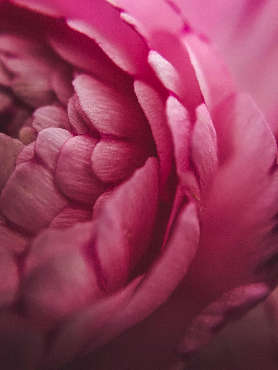 10x High Definition 2 Element Close-Up (... 9 10x High Definition 2 Element Close-Up (... - Image 9