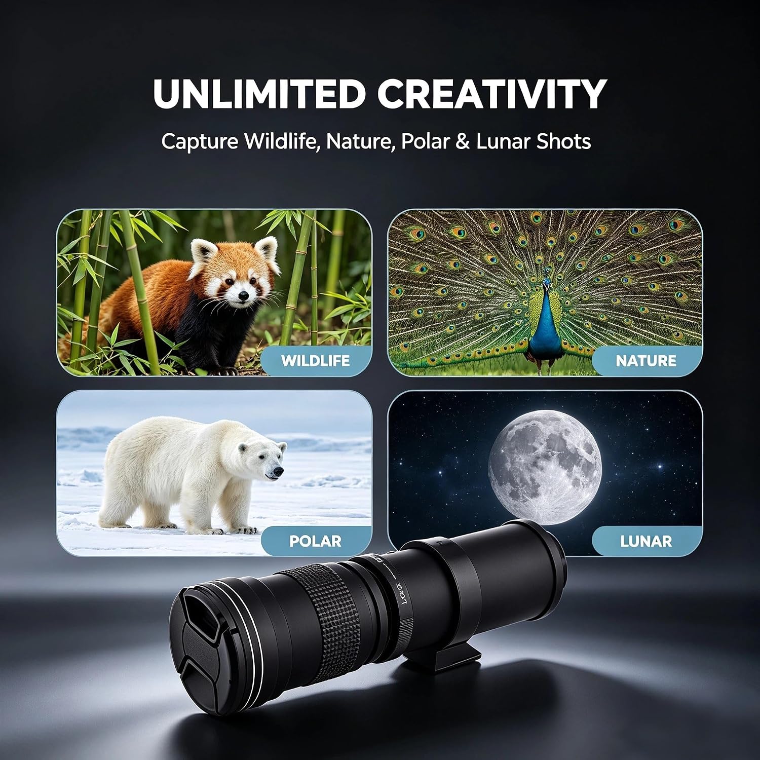 JINTU 420-800mm f/ 8.3 Manual Telephoto ... 2 JINTU 420-800mm f/ 8.3 Manual Telephoto ... - Image 2